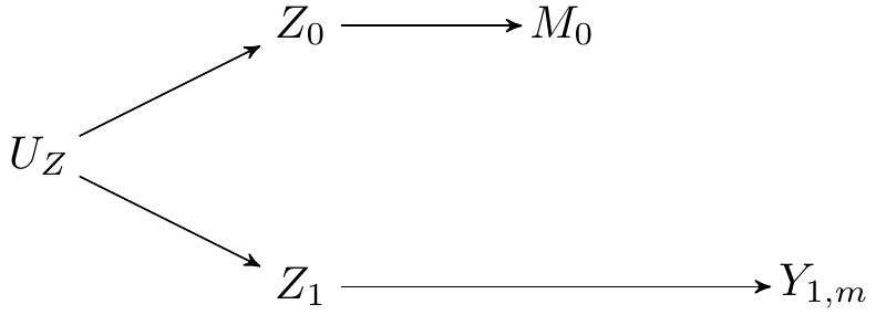 Parallel worlds model of the scenario considered.